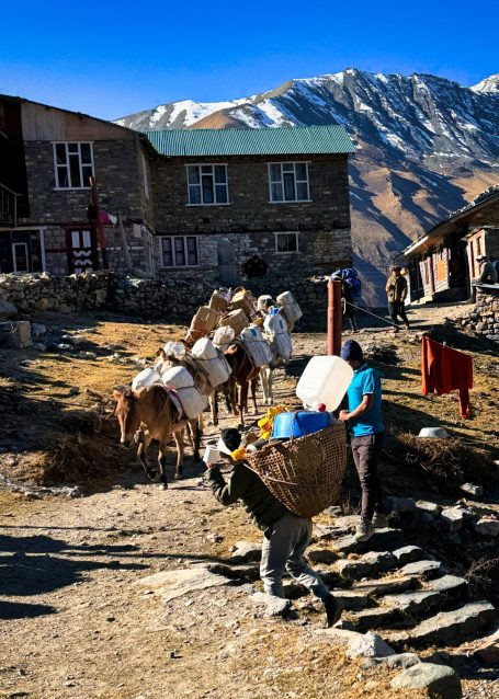 Ein Mensch trägt Lasten auf einem Esel, umgeben von Bergen und Tieren.