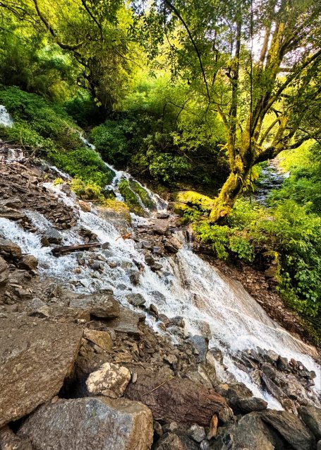 Ein glitzernder Wasserfall fließt über steinige Ufer in eine grüne, bewaldete Umgebung.