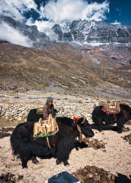Ein Mann sitzt auf einem Yakwurf mit Bergkulisse und wolkenverhangenem Himmel.