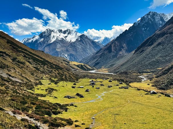 Grüne Täler und schneebedeckte Berge unter klarem, blauem Himmel.