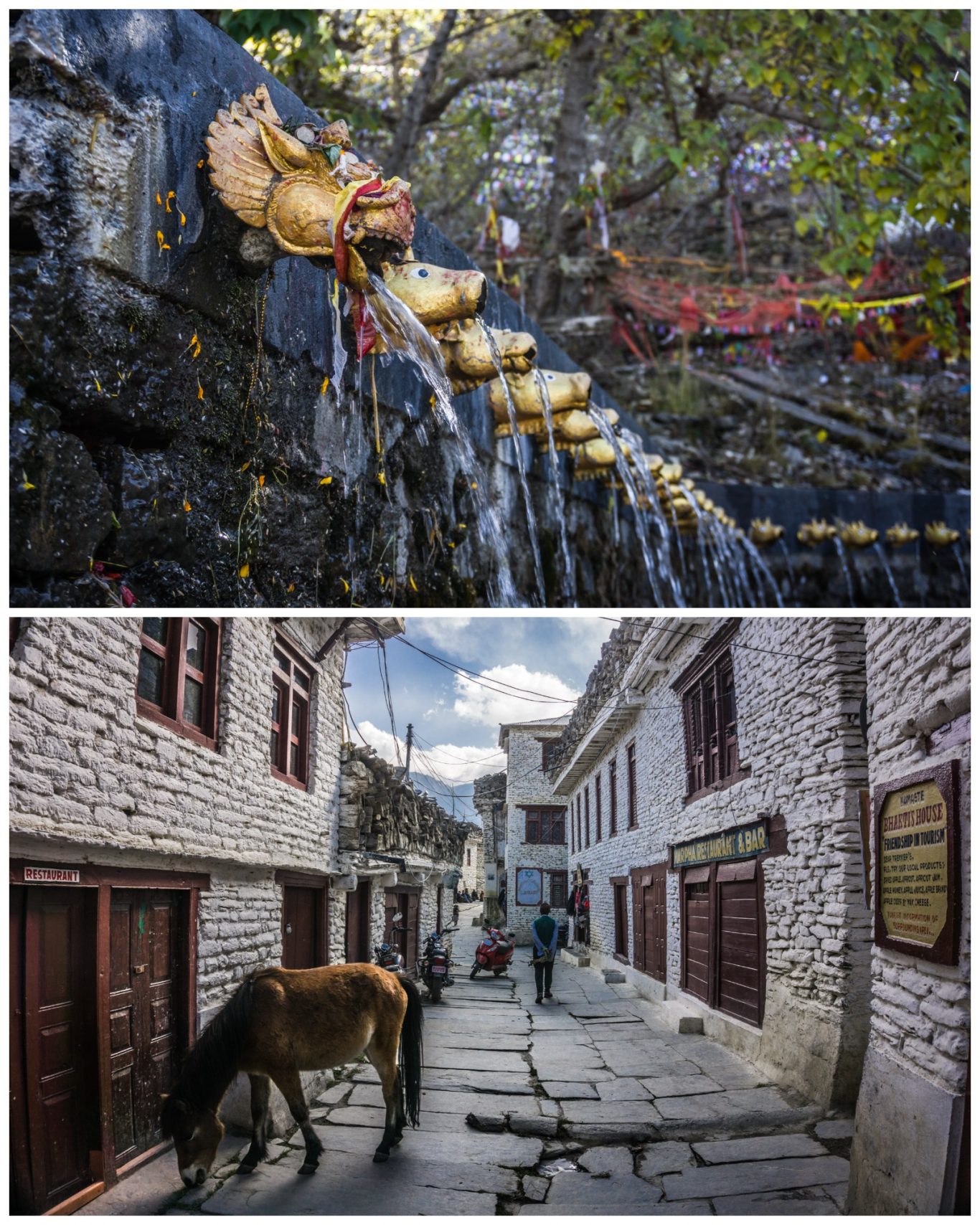 Muktinath (3.790 m) & Marpha (2.650 m) Ein Wasserfall aus goldenen Schalen fließt über eine steinerne Wand, mit einem Esel auf der Straße.