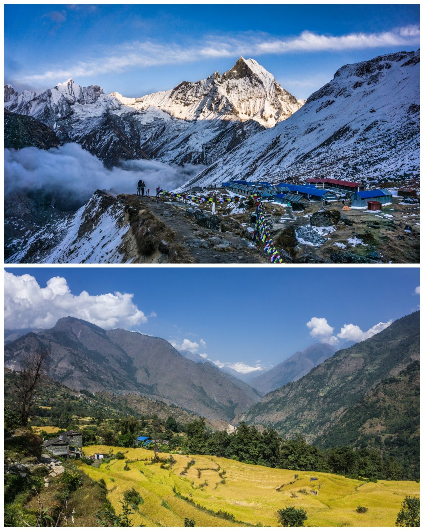 Annapurna BC (4.130 m) & Reisfelder Berglandschaft mit schneebedeckten Gipfeln und grünen Tälern, darunter ein Dorf.