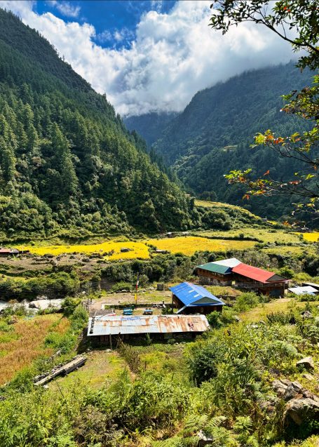 Blick auf ein idyllisches Tal mit Häusern und blühenden Wiesen unter bewölktem Himmel.