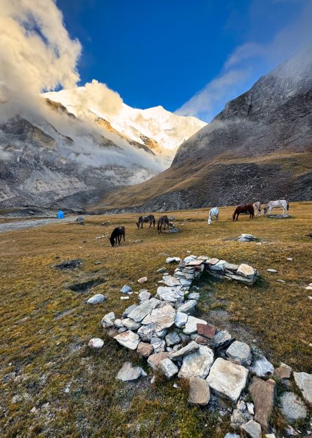 Berglandschaft mit Wiese, Ziegen und einem blauen Gebäude im Hintergrund.
